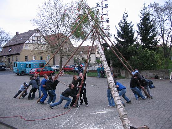Maibaum 210.jpg